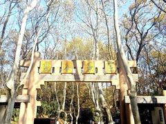 -灵谷景区
