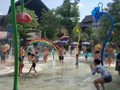 -苏州乐园森林水世界