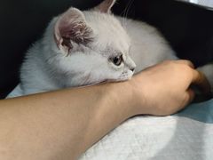 -佑安动物医院·全科·内窥镜中心(幸福巷店)