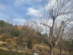 -世界恐龙谷景区