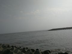 -南汇嘴观海公园