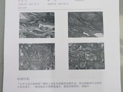 -爱侣宠医·鹦鹉专科·小型哺乳类·异宠专科(灵石路店)