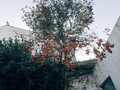 -吴作人艺术馆