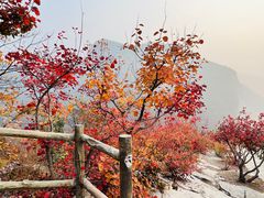 -周口店坡峰岭风景区