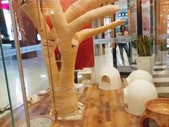 -袖虎·猫馆(体育西路店)