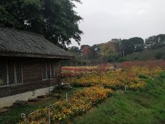 -松山湖南湖湾露营营地