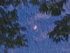 -瑞幸咖啡(天安数码城店)