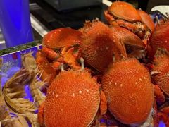 -深圳四季酒店·馥自助餐厅