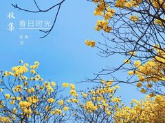 -松山湖风景区松湖烟雨