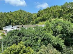 -竹野·上|老字号全竹宴