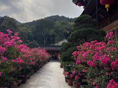 -杭州上天竺法喜讲寺