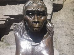 -房山世界地质公园博物馆