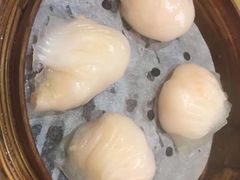 -添好运点心专门店(北角店)
