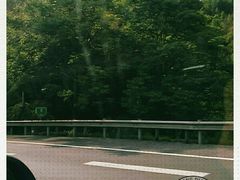 -建德果蔬乐园绪塘草莓基地