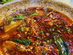 水煮肉片-陈有良尖椒鸡(渝中旗舰店)