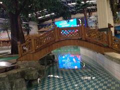 -南宫温泉水世界