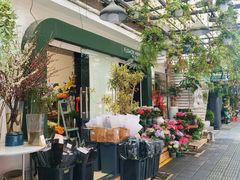 -溪岸路花鸟市场