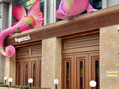 -帕帕拉兹宠物(亚洲旗舰店)