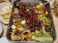 -鱼酷活鱼烤鱼(沈阳大悦城店)