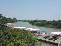 -东寨港红树林旅游区