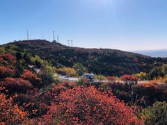 -北京西山国家森林公园