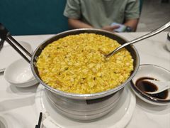 -丁老爷子苏香圆