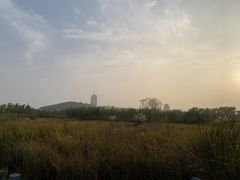 -永定河休闲森林公园