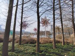 -郑州植物园