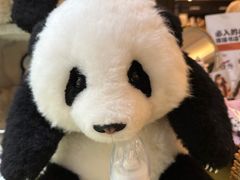 -轩客会(熊猫书店)