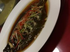 -小叶大馅饺子城