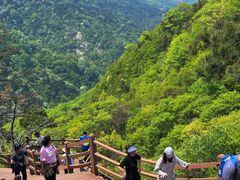 -沂蒙山旅游区云蒙景区(蒙山国家森林公园)