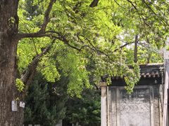 -苏州文庙(姑苏区)