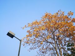 -杭州城北体育公园