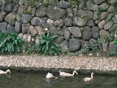 -东钱湖旅游度假区