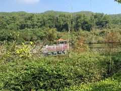 -大屏嶂森林公园
