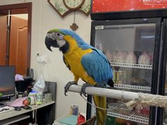 -观桥阁(锦溪店)