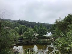 -铁山坪森林公园