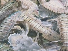 -南沙十九涌渔人码头-南门