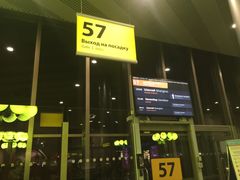 -谢列梅捷沃国际机场