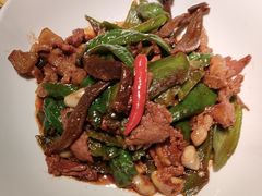 -秀儿四九城·新京菜(亚运村鸟巢店)