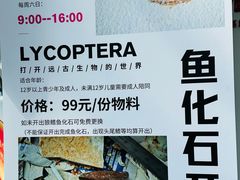 -房山世界地质公园博物馆