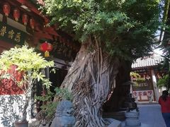 -叩齿古寺