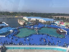 -秦皇岛乐岛海洋王国