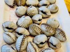 -华盛丰温州大排档(东三环南路店)