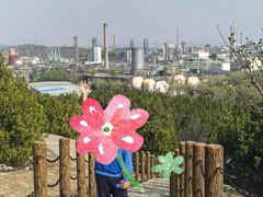 -白水寺森林公园