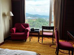 -罗浮山嘉宝田森林温泉度假酒店