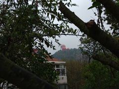 -青岛市江苏路基督教堂