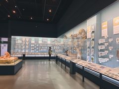 -浙江自然博物院(杭州馆)