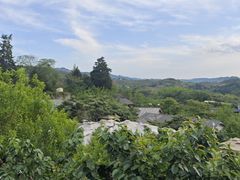 -桃源山庄·水蜜桃采摘·柴火鸡·烧烤团建(龙泉山店)