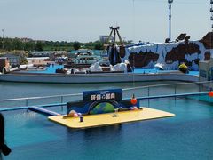 -秦皇岛乐岛海洋王国